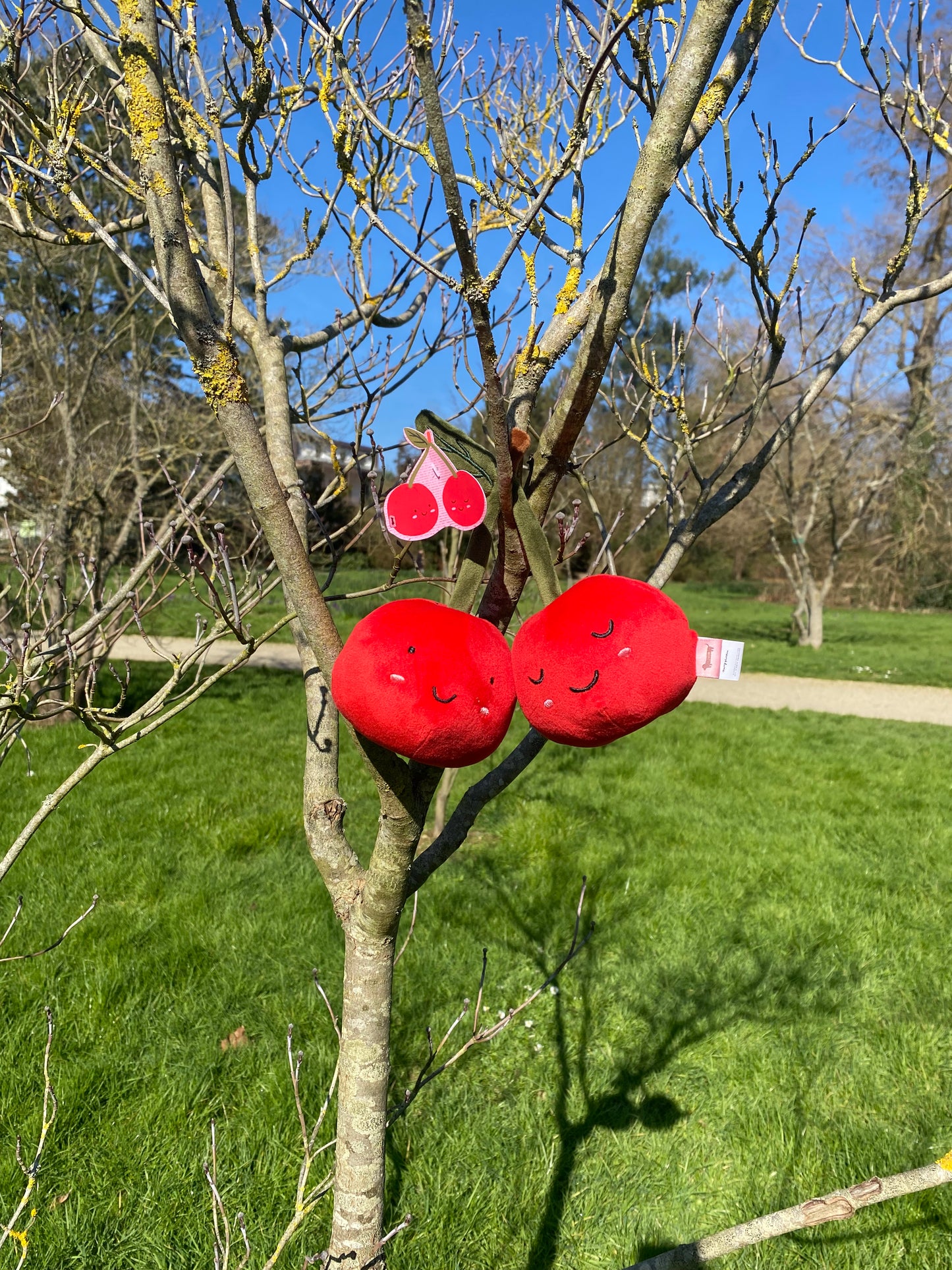 Cerises en peluche