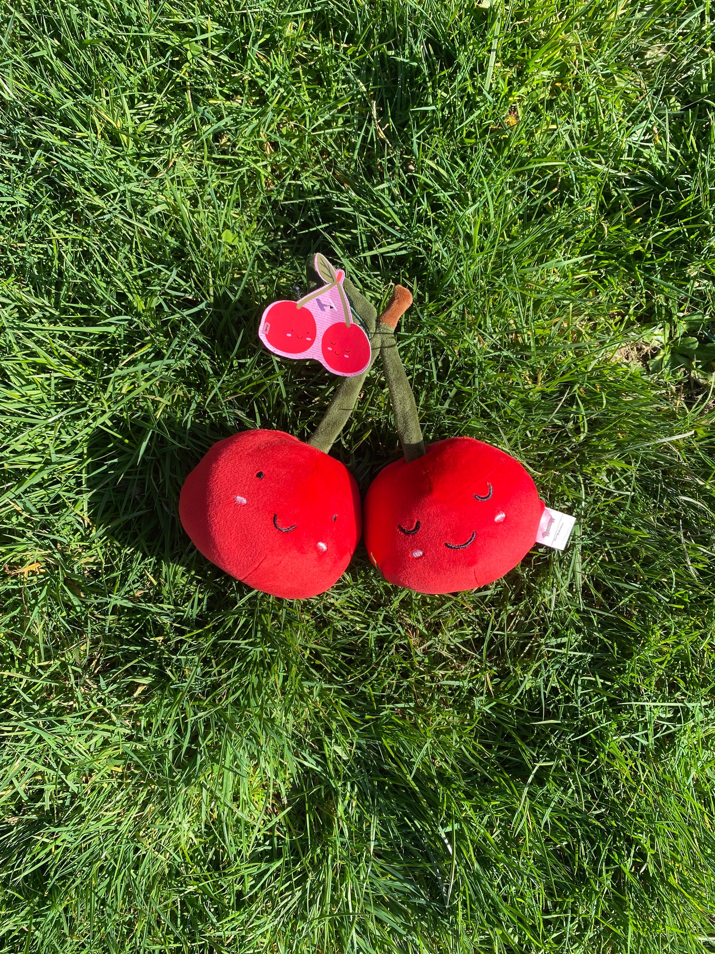 Cerises en peluche