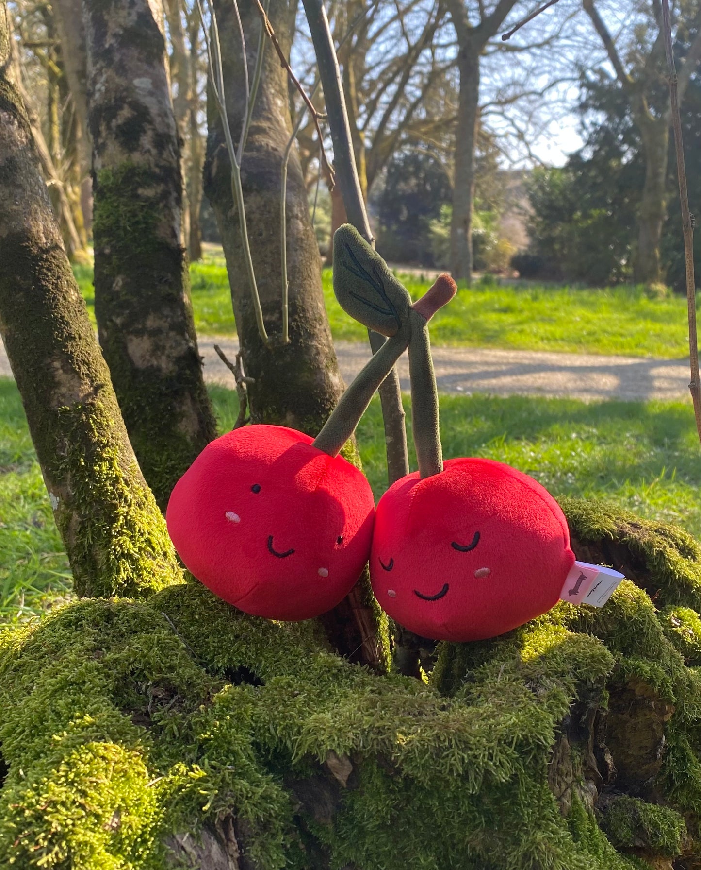 Cerises en peluche