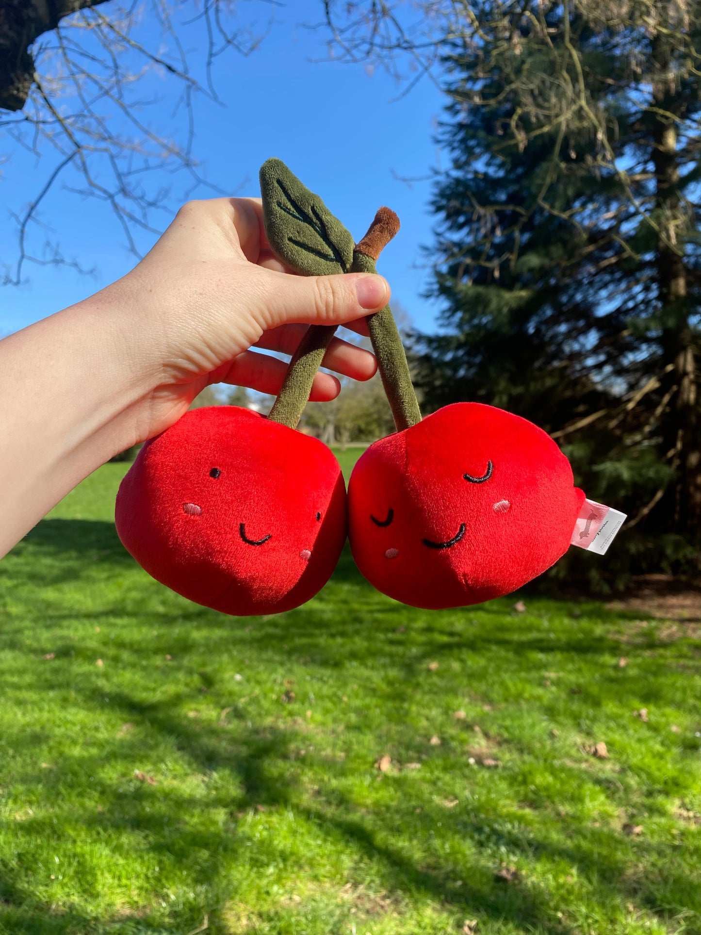 Cerises en peluche